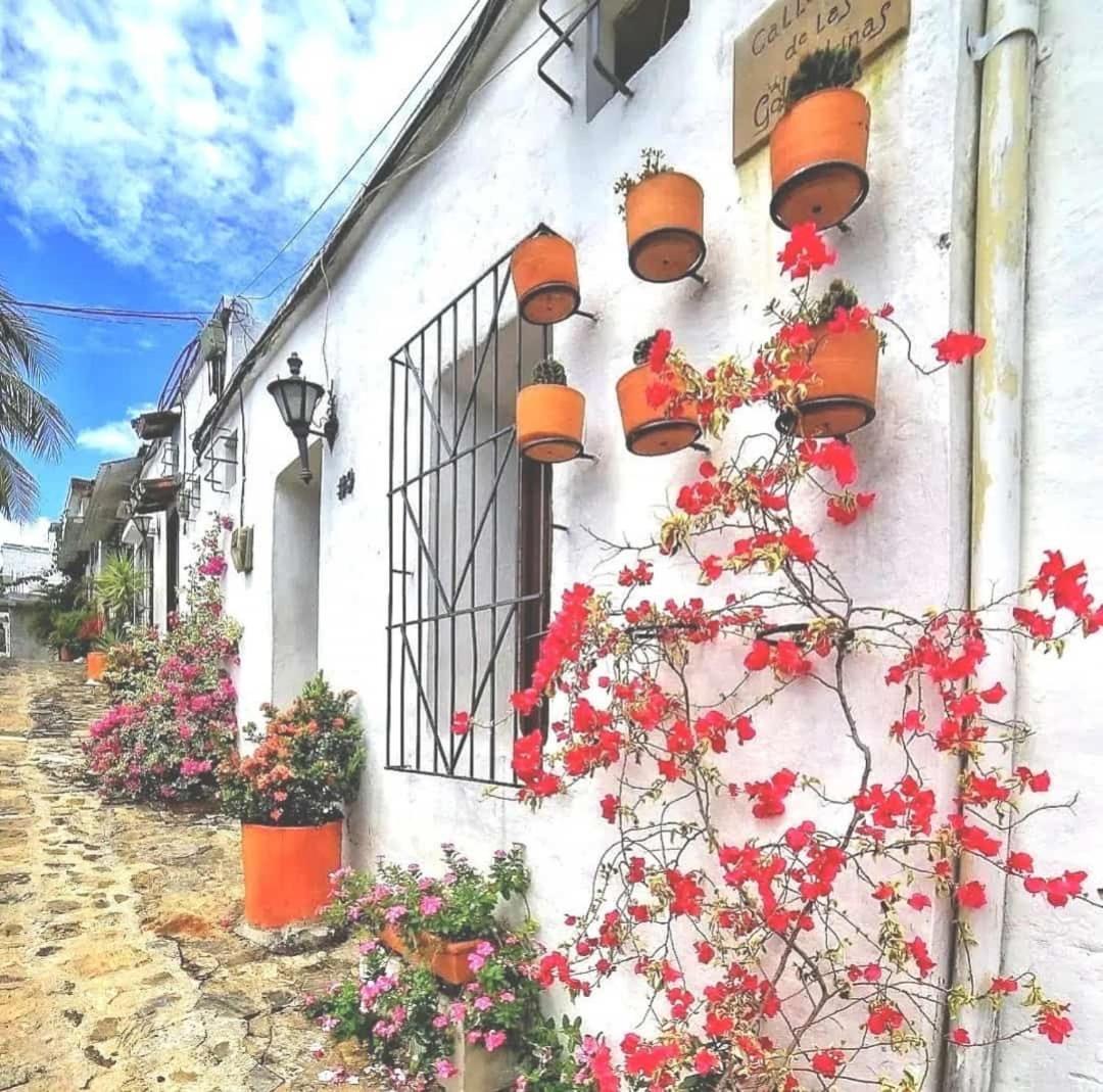 Apartment Aldea Inmueble